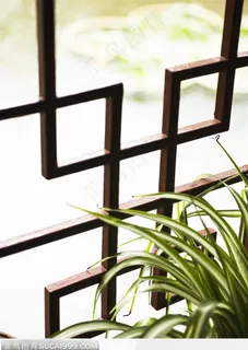 上海风情-窗户上的兰花