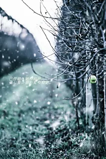 qq个性签名伤感火星文 qq个性签名伤感火星文
