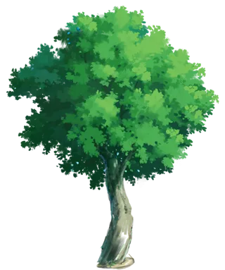 树木树枝树叶免扣素材