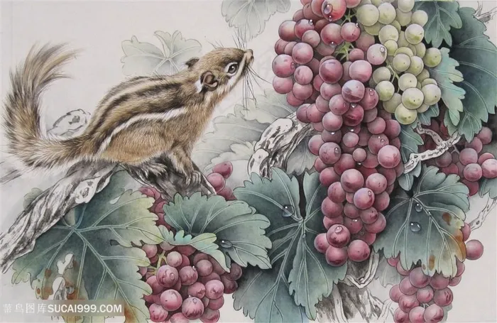 葡萄松鼠高清装饰画