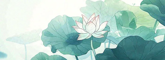 夏天荷花荷叶手绘绿色插画，夏至小暑大暑(1712x627)