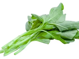 菠菜免抠
