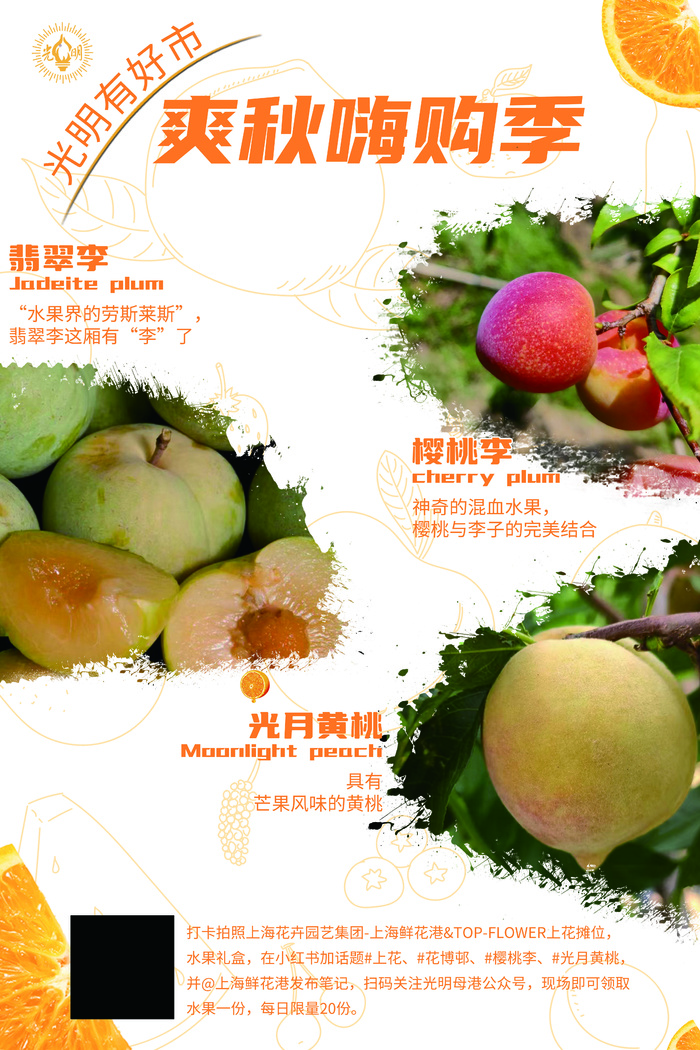 水果店海报psd模版下载