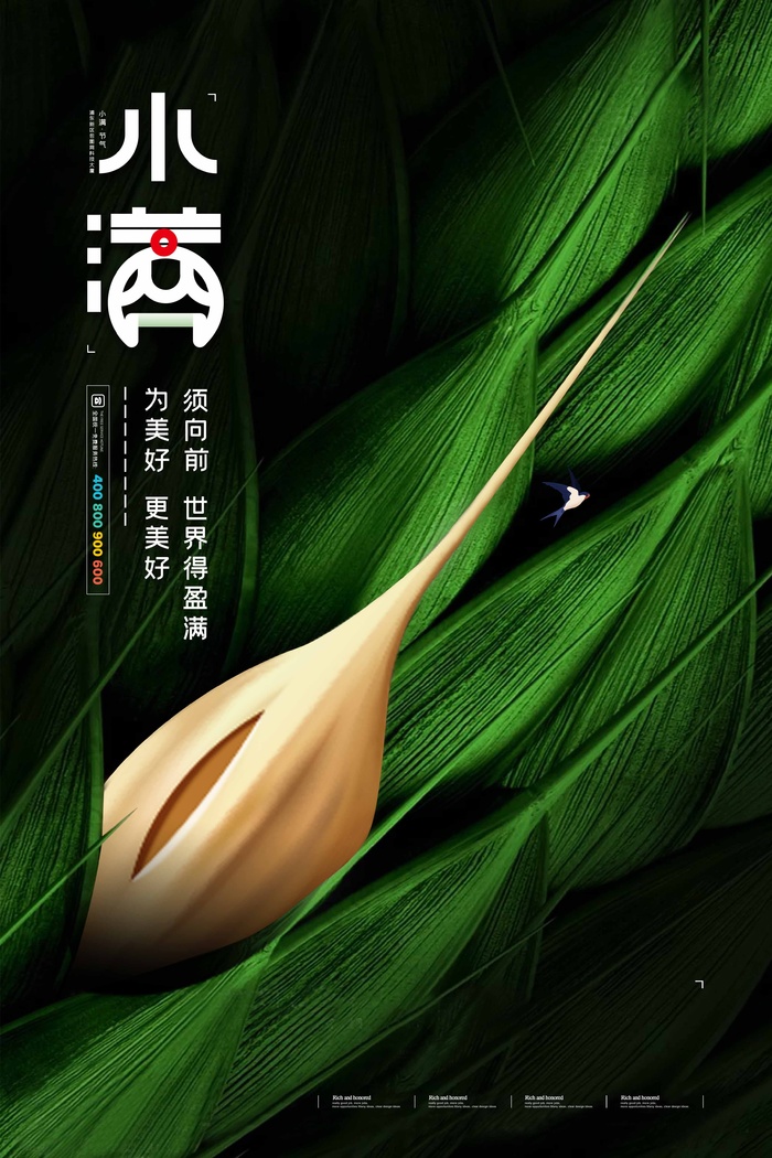 小满 小满宣传海报psd模版下载
