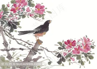 国画杜鹃花篱笆飞鸟