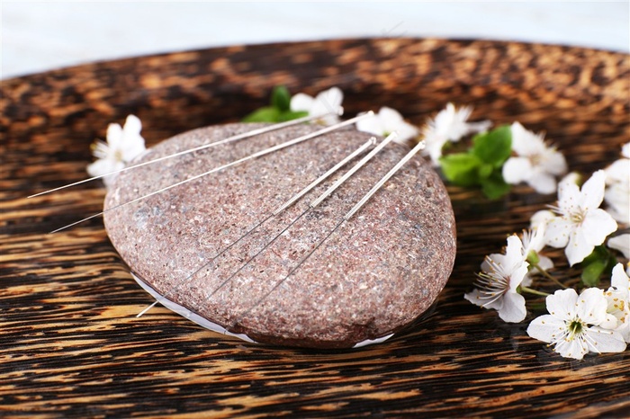 石头上的银针和花朵