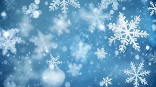 立冬吃饺子美食摄影图