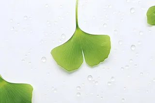 白底绿叶简约清新背景