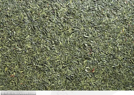 食物背景-翠绿的茶叶
