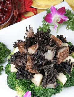 金牌酱烧海参 (7)