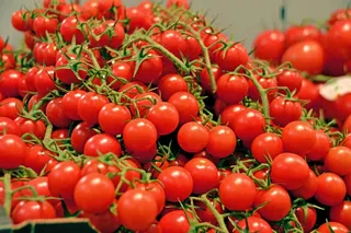 小番茄果蔬图片