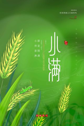 小满 传统节气海报