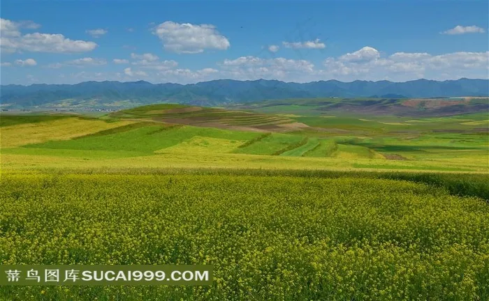 甘肃阿木去乎草原风景大图
