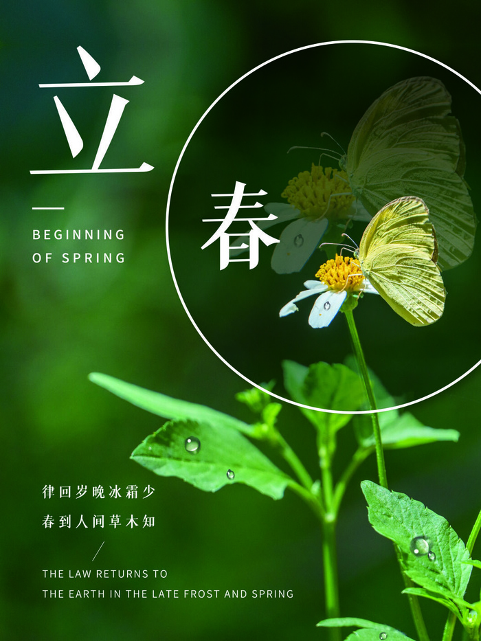 24节气立春春季新春春天海报模板PSD分层设计素材源文件模板(3543x4724)psd模版下载