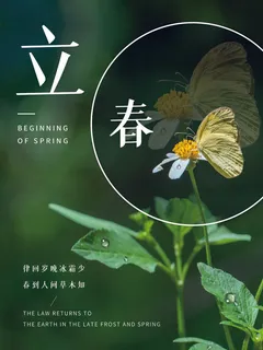 24节气立春春季新春春天海报模板PSD分层设计素材源文件模板