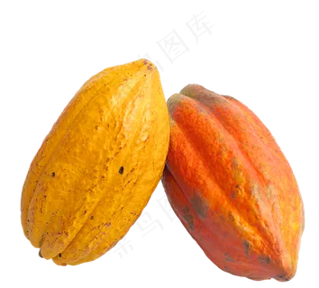 可可果实可可粉免抠 (8) 可可果实可可粉免抠 (8)