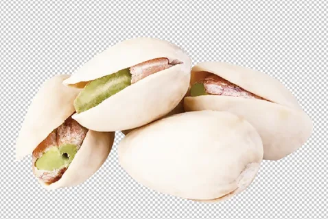 开心果免扣素材