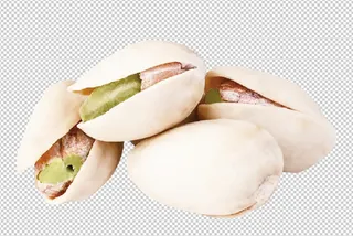 开心果免扣素材