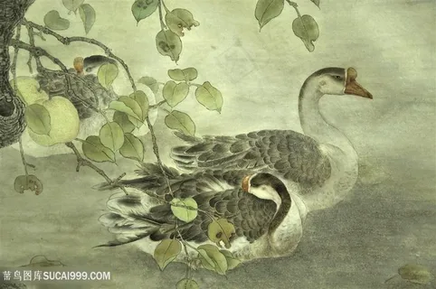 湖畔鹅高清风景画