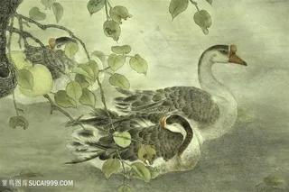 湖畔鹅高清风景画