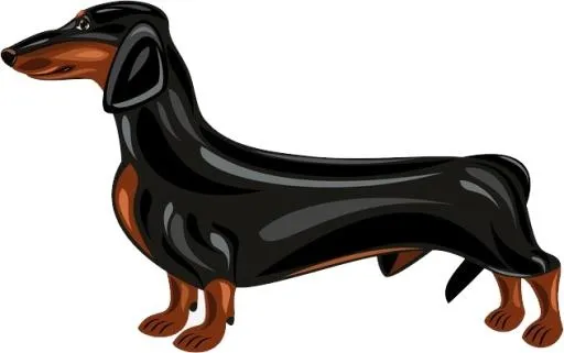 腊肠犬 PNG免抠(632x397)