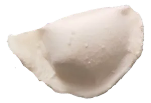 素肉猪肉白菜芹菜香菇水饺蒸饺免抠摄影元素素材