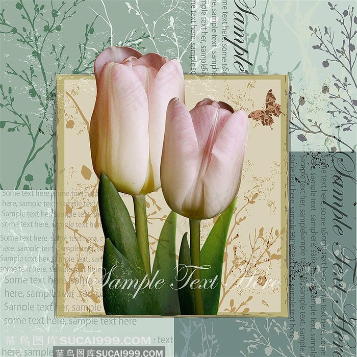 欧美花朵装饰画