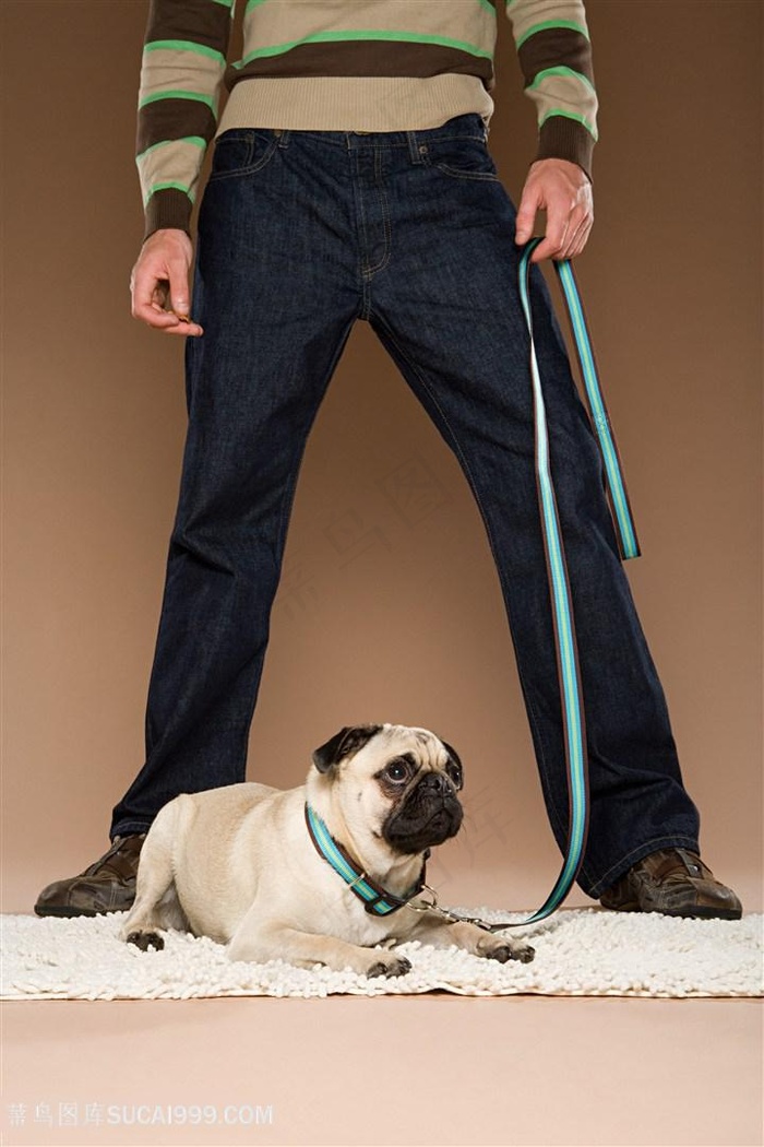 高清男人牵着巴哥犬狗狗图片