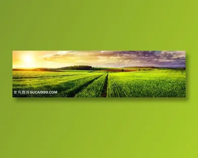 唯美田园风光高清图片