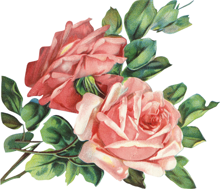 古典花卉png免扣素材