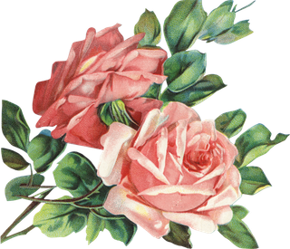 古典花卉png免扣素材