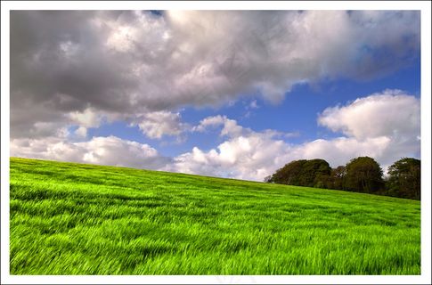 草地天空风景图片下载