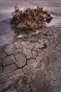 地面干涸裂纹图片 地面干涸裂纹图片