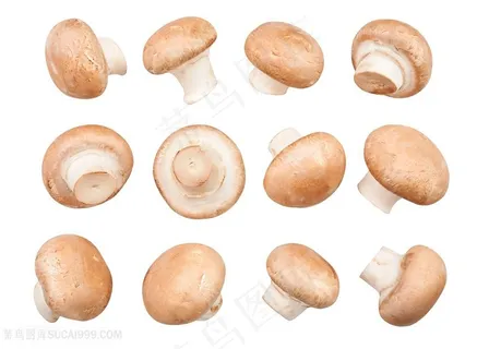 新鲜蘑菇高清图 新鲜蘑菇高清图