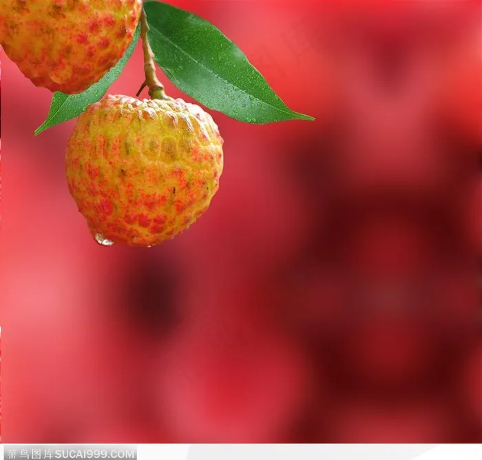 沾了水珠的荔枝图片素材