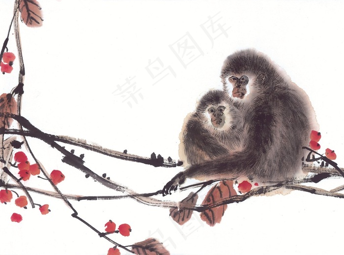 猴子图片素材