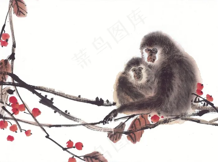 猴子图片素材