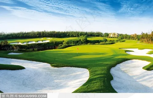 蓝天白云下的绿地高尔夫球场