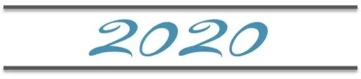 2020年PNG免抠(924x203)