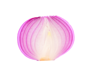 洋葱 (14)超市商品白底图免抠实物摄影png格式图片透明底