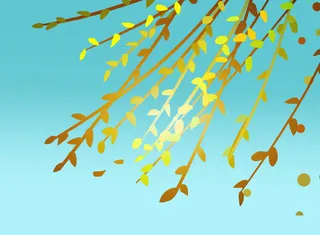 金色柳条柳枝手绘