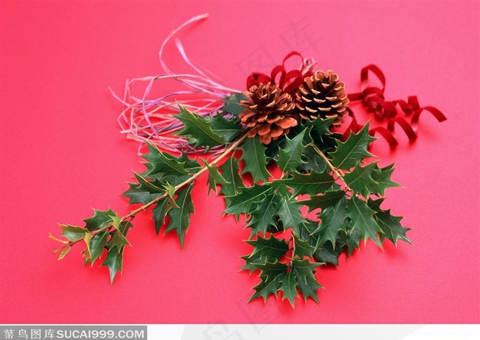 圣诞装饰叶与松子