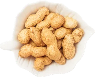 05_Peanuts Bowl