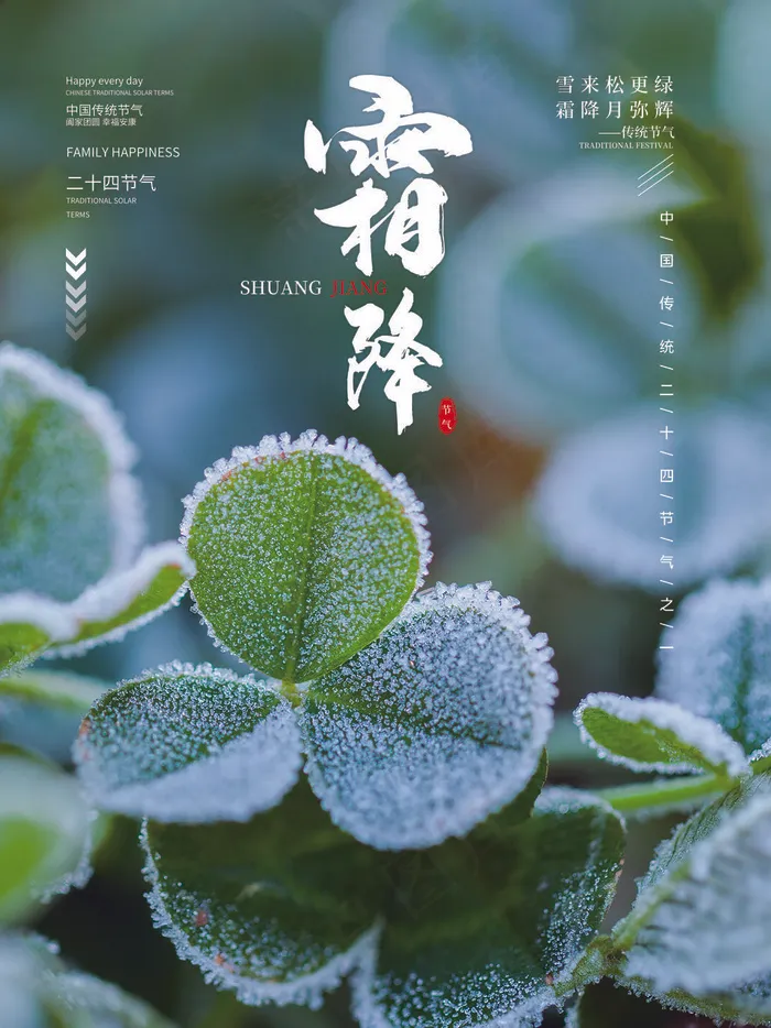 霜降图片海报(3544x4725)psd模版下载