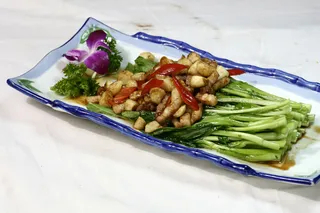 3生炒菜心苑 -昭君