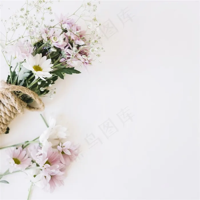 清新花卉高清图  小清新花卉图片