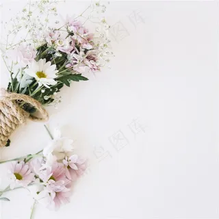 清新花卉高清图  小清新花卉图片