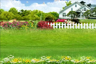 现代绿草花卉房子背景