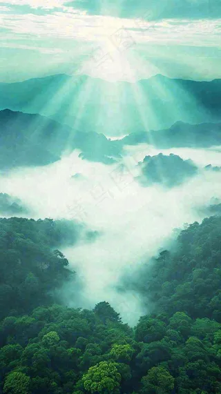 中国风高山绿植森林丛林，阳光蓝天白云，户外