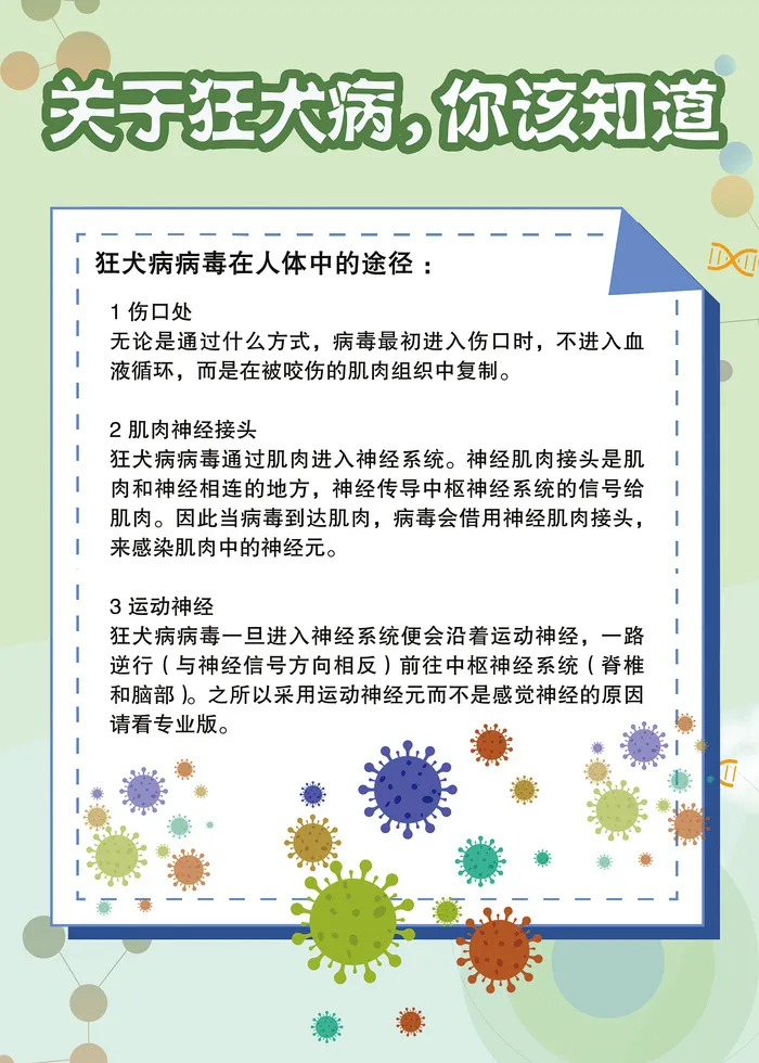 关于狂犬病你该知道的科普知识海报psd模版下载